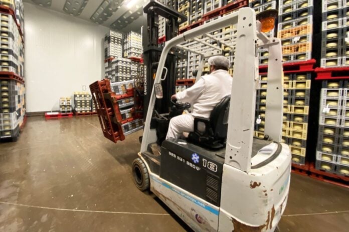 operario-empleado-empleo-almacen-2023-12-27_11-24