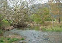 Ciudad Real, en alerta por la crecida de varios ríos tras el paso de la borrasca Joseph