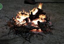 Autorización previa, sin quema de plásticos ni fuego en parques: Consulta las normas para las hogueras de San Antón en Tomelloso