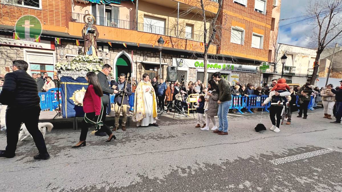 Con la procesión y bendición de cientos de animales se pone fin a la celebración de San Antón en Tomelloso