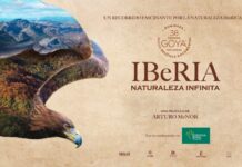 Fundación Eurocaja Rural apoya la difusión del documental ‘Iberia, naturaleza infinita’