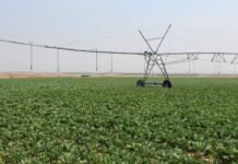 C-LM impulsa un modelo de regadío más sostenible y social con un plan hasta 2030