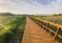 Denuncian los descensos en masas de agua de Mancha Occidental II, afectando a las Tablas de Daimiel