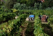 Mancha Occidental II lamenta que no se sepa nada de reactivar el Plan Especial del Alto Guadiana «20 meses después»