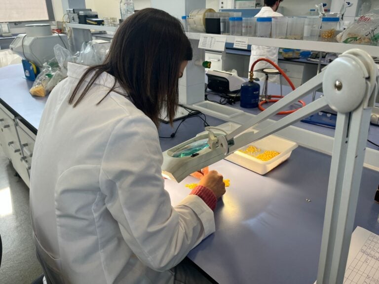 Un informe de CCOO expone que las mujeres cobran 4.500 euros menos al año que los hombres en C-LM