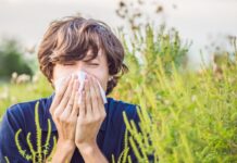 La temporada de alergias al polen se adelanta este año y afectará sobre todo al centro peninsular