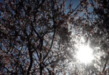 Tiempo estable para esta semana, con subida de temperaturas el finde