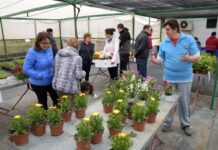 Ven a conocer este domingo el invernadero de Brazos Abiertos en Argamasilla de Alba