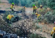 Argamasilla de Alba y Ruidera, en alerta roja por incendio
