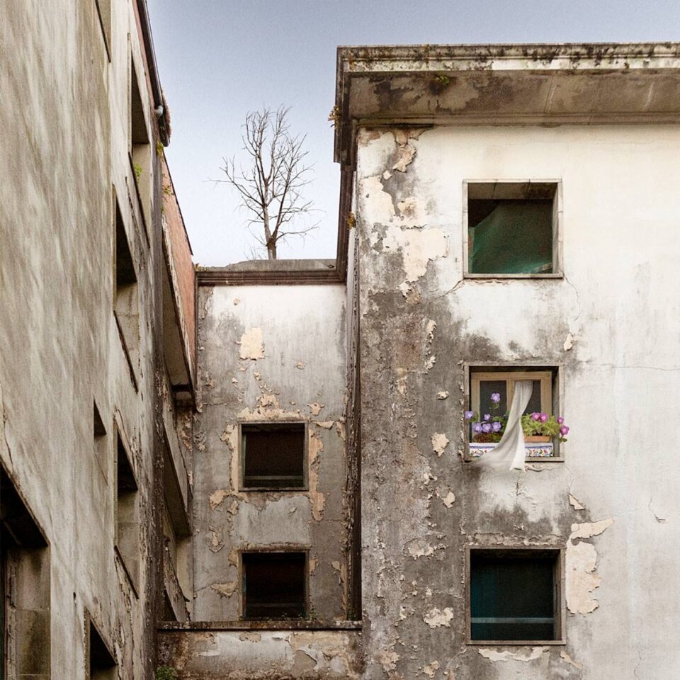 Estas son las imágenes ganadoras del Certamen de Fotografía "Ciudad de Tomelloso" 2024