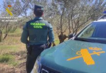 ASAJA denuncia la falta de vigilancia frente a los robos mientras los agricultores soportan inspecciones «desproporcionadas»