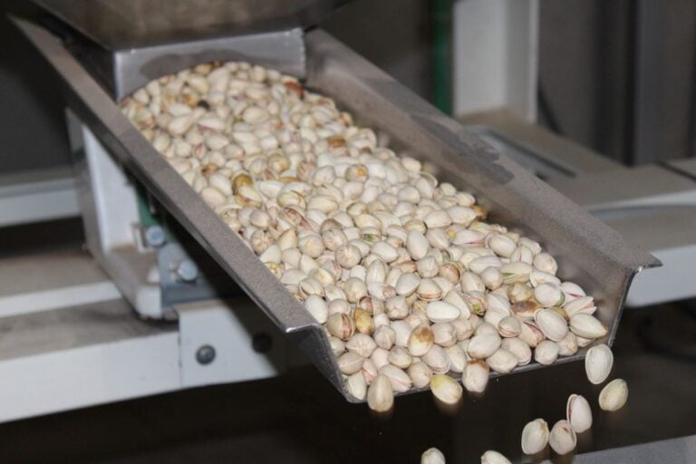 Una revisión a la baja de un 6 % la previsión de cosecha de pistacho en C-LM