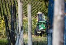 Castilla-La Mancha pagará 150 millones de euros de la PAC en diciembre