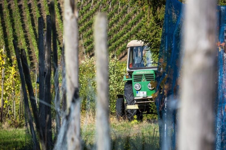 Castilla-La Mancha pagará 150 millones de euros de la PAC en diciembre