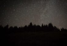 La lluvia de estrellas de las Perseidas alcanzará su mejor momento entre este domingo y el martes