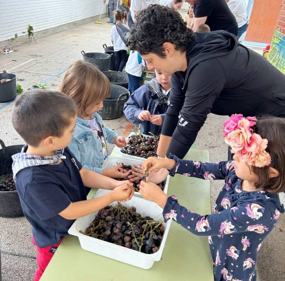 Alumnos del CEIP Félix Grande de Tomelloso "se van de vendimia"