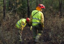 Denuncian el «desprecio» de Geacam por los derechos laborales de su plantilla