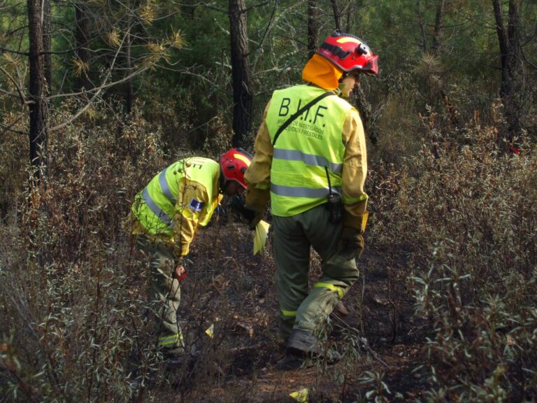 CSIF denuncia que el dispositivo de incendios en C-LM se quedará al 50 % en una semana