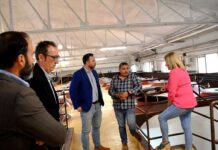 Recta final de la vendimia en Tomelloso con buenas expectativas para Bodegas San José