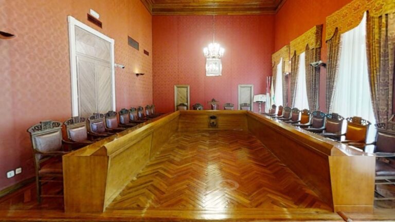 El sector sanitario, protagonista en la celebración del Día de la Constitución en Tomelloso