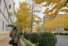 Noviembre tuvo una temperatura media de 9,1 grados en Castilla-La Mancha El tiempo en Tomelloso hoy