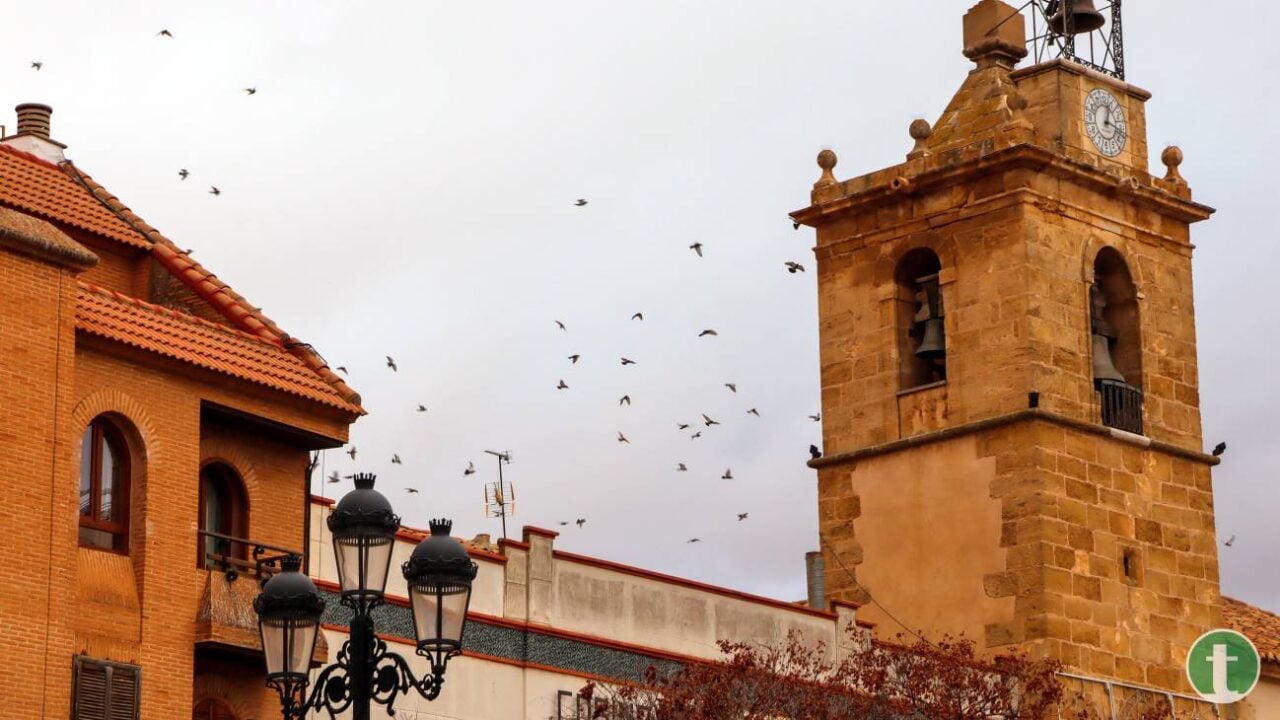 Entre bailes y lemas, la inclusión toma las calles de Tomelloso