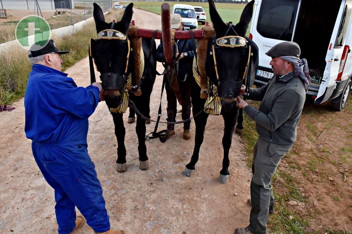 Tomelloso revive sus raíces con tradición y esfuerzo en el Día de la Simienza