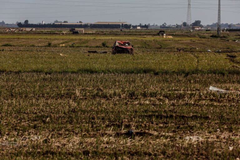 El Gobierno pagará otros 5 millones en ayudas para agricultores y ganaderos afectados por la Dana