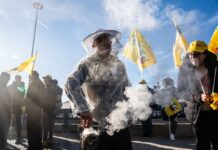 Apicultores españoles, franceses y portugueses protestarán el 28 de enero contra las importaciones masivas de miel