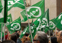CSIF se concentrará mañana en Ciudad Real para defender la seguridad del personal sanitario