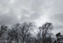 Este invierno ha sido uno de los más cálidos en C-LM de los últimos 65 años El tiempo en Tomelloso hoy