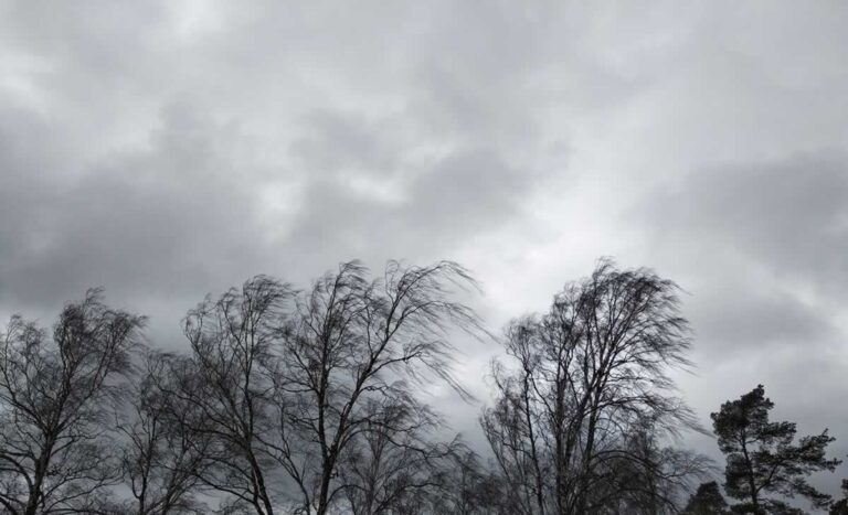 Este invierno ha sido uno de los más cálidos en C-LM de los últimos 65 años