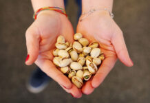 El pistacho se consolida como cultivo estratégico en Castilla-La Mancha, líder nacional en producción