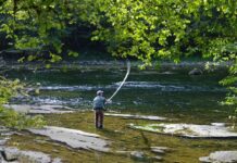 C-LM facilitará la caza y la pesca en otras nueve comunidades con la nueva licencia interautonómica