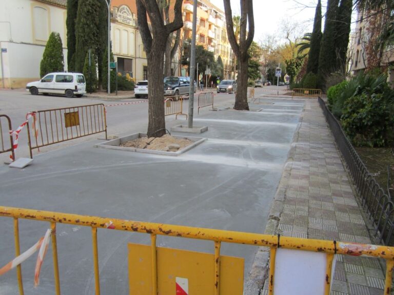 Ecologistas en Acción critican al Ayuntamiento de Tomelloso por la caída de árboles instalados en el Paseo de San Isidro
