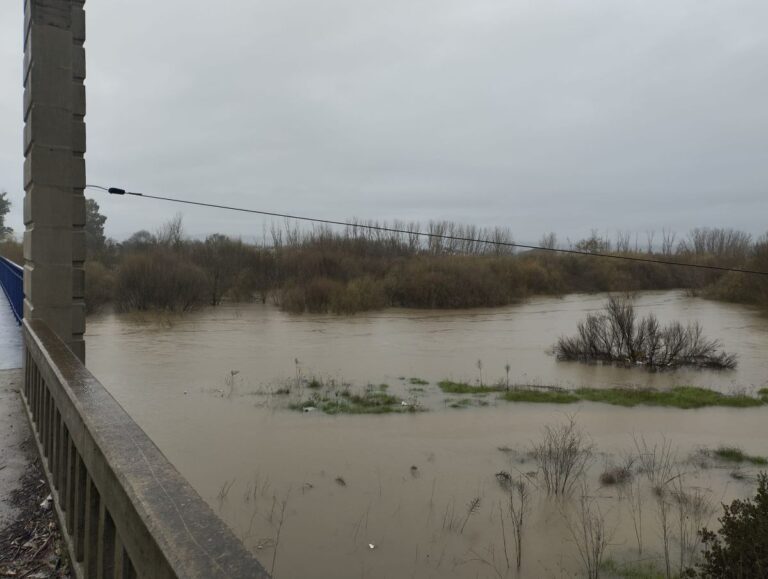 Castilla-La Mancha sigue alerta y con preocupación por un deshielo que aumente caudales
