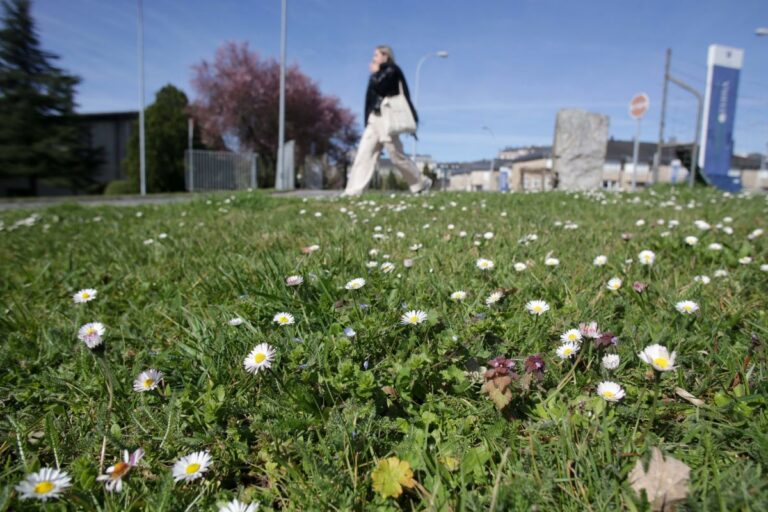 Fin de semana frío en Tomelloso, previo a una subida progresiva de temperaturas