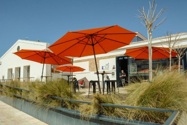 El Mercado de Abastos de Tomelloso estrena terraza de verano
