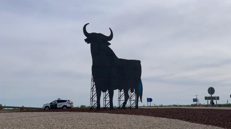 Detenido el autor del hurto del pañuelo de hierbas de la Virgen de las Viñas en Tomelloso