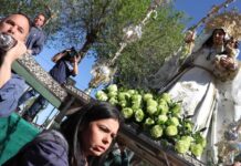 ¿Te perdiste algo de la Romería? Aquí tienes todos los vídeos de un fin de semana inolvidable Romería de Tomelloso 2025