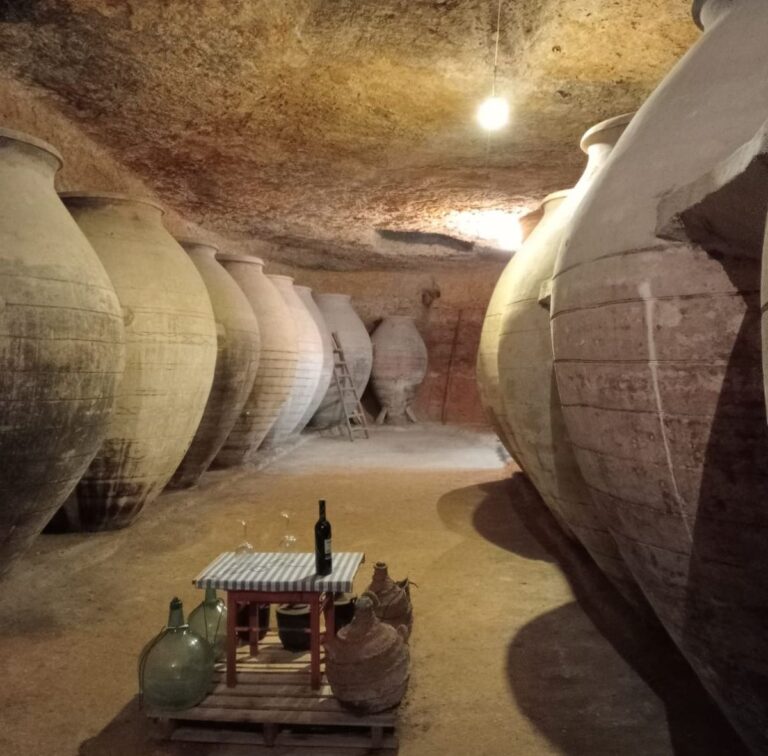Tinajas y cuevas enológicas protagonizan una cata en la que el vino se marida con patrimonio de Tomelloso