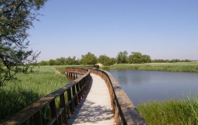 Regantes insisten en que «es el momento» de trasvasar 20 hm3 para encharcar Las Tablas de Daimiel