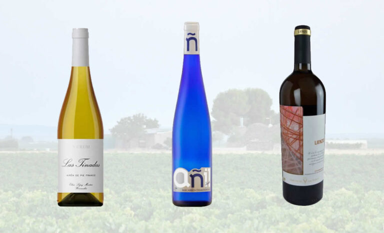 Varios vinos de Tomelloso, galardonados entre los mejores de España en los XVI Premios AEPEV 2024