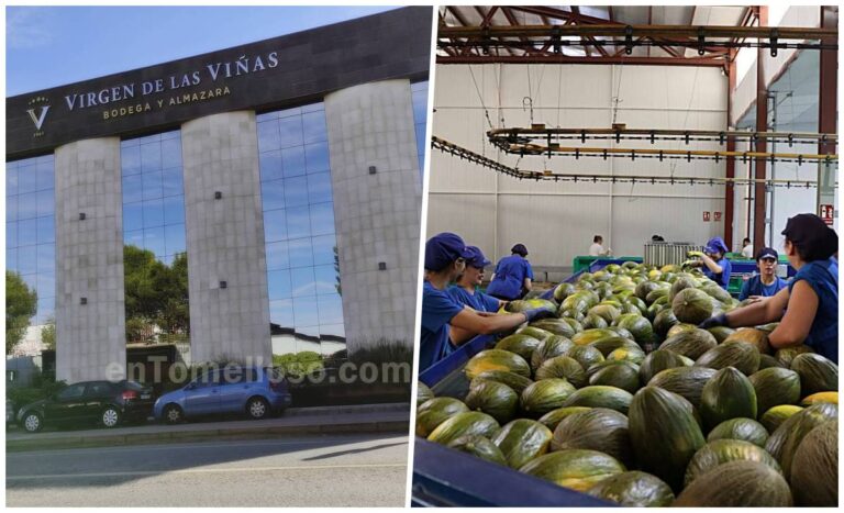 Tomelloso triunfa en los Premios Gran Selección: mejor vino rosado para Virgen de las Viñas y mejor melón para Santiago Apóstol