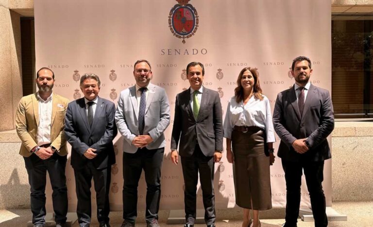 El PP pide en el Senado la declaración de Tomelloso de zona gravemente afectada por el hundimiento de las cuevas