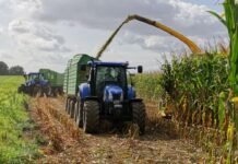 El anticipo de la PAC llegará al 70 % y se pagará a partir del 16 de octubre