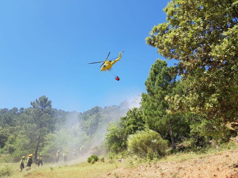 Unos 2.800 profesionales trabajarán en la campaña contra incendios de C-LM