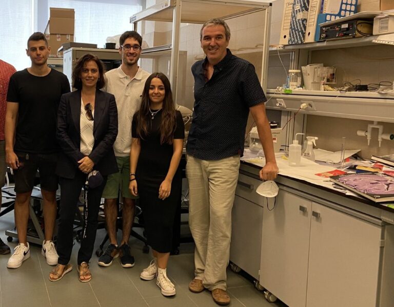 Investigadores de la UCLM identifican un nuevo mecanismo para revertir déficits de memoria en fases tempranas de la enfermedad de Alzheimer