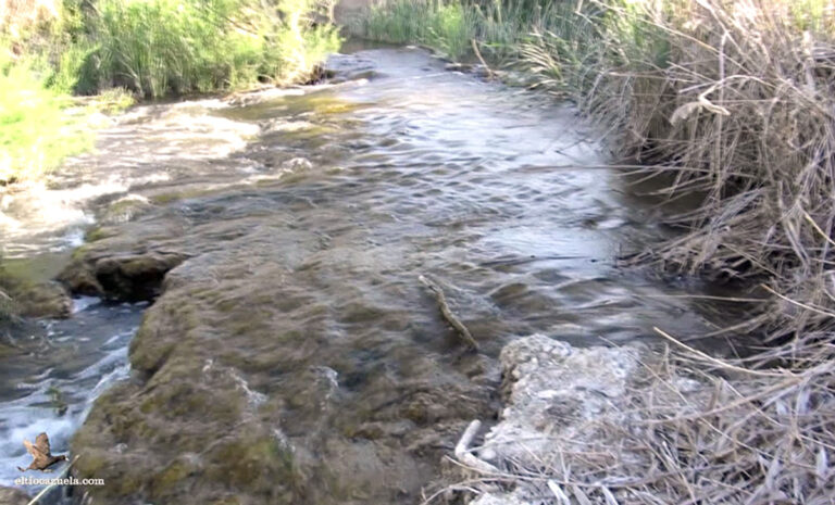 Ni el Tajo ni el Júcar: el río más largo que «nace y muere» en C-LM empieza su recorrido en Cuenca