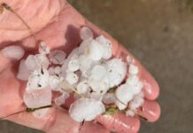 El granizo causa daños importantes en viñedos de Tomelloso